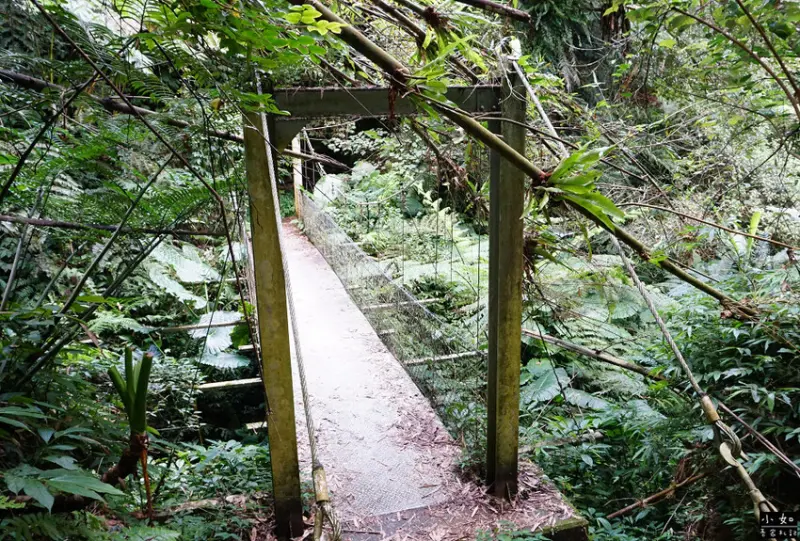 【復興步道】觀音洞步道南口,走到蝙蝠洞步道,瀑布,免門票景點
