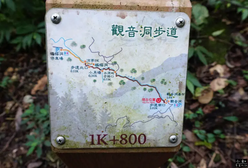 【復興步道】觀音洞步道南口,走到蝙蝠洞步道,瀑布,免門票景點