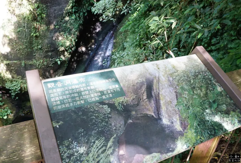 【復興步道】觀音洞步道南口,走到蝙蝠洞步道,瀑布,免門票景點