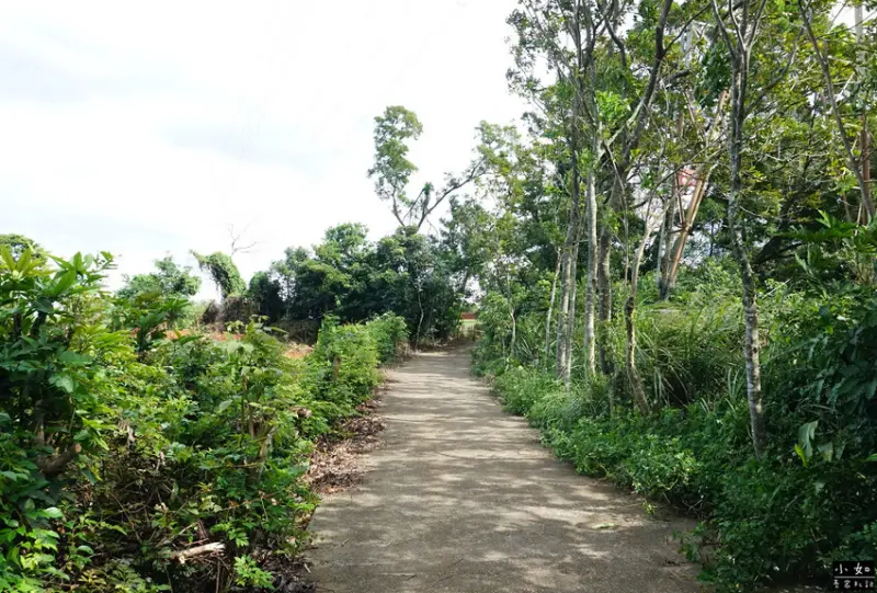 【湖口步道】湖口老街周圍步道,看戰車,天主堂,漢卿.仁和.金