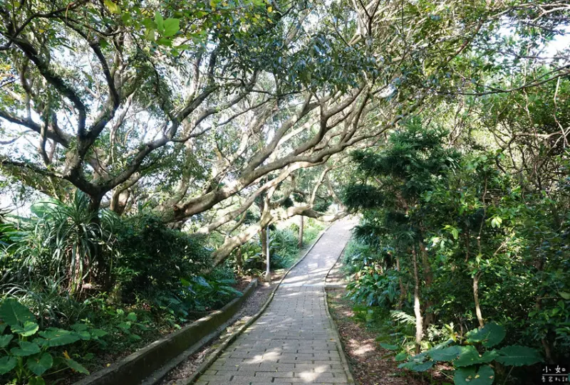 【金山步道】燭臺雙嶼,獅頭山步道,公園,神秘海岸,一線天,o