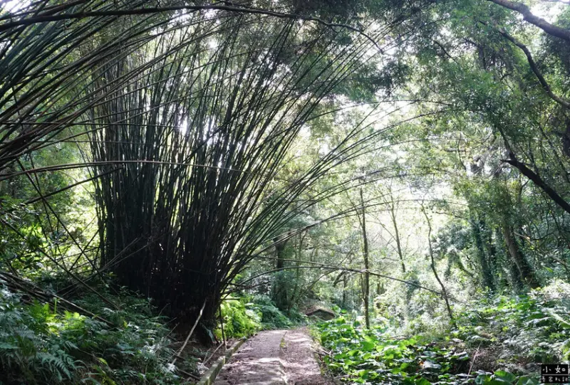 【湖口步道】湖口老街周圍步道,看戰車,天主堂,漢卿.仁和.金
