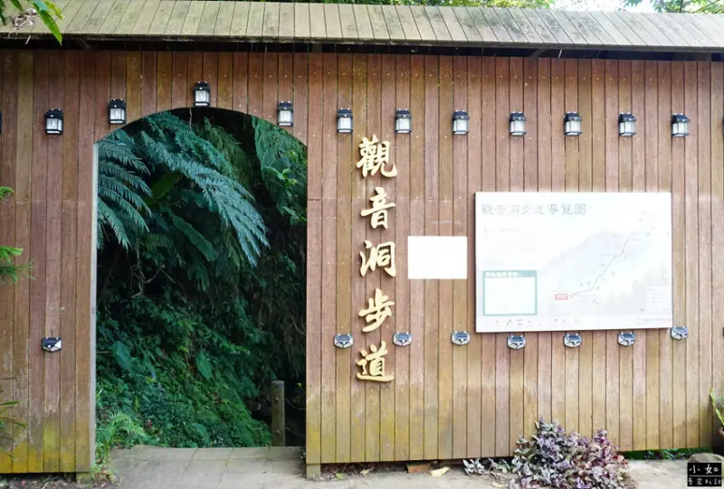 【復興步道】觀音洞步道南口,走到蝙蝠洞步道,瀑布,免門票景點