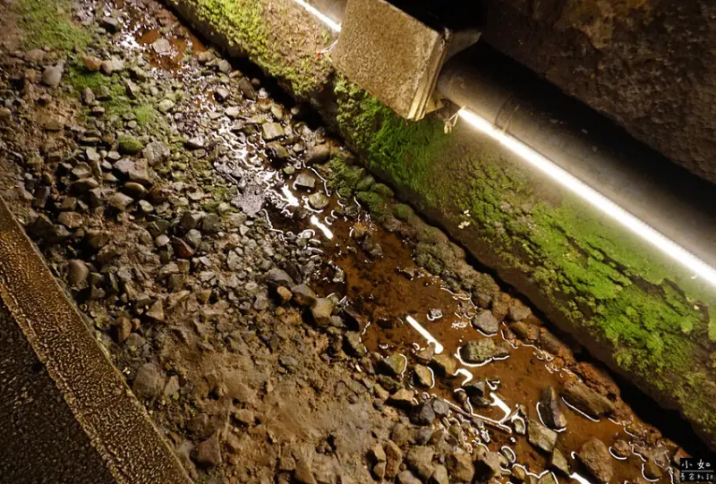 【苗栗景點】功維敘隧道,心想事成大車票,隧道燈光秀,懷舊火車