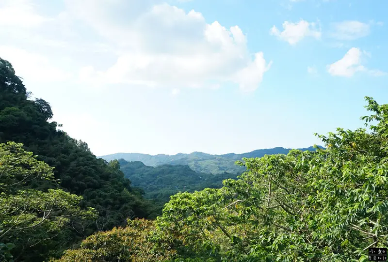 【復興步道】觀音洞步道南口,走到蝙蝠洞步道,瀑布,免門票景點