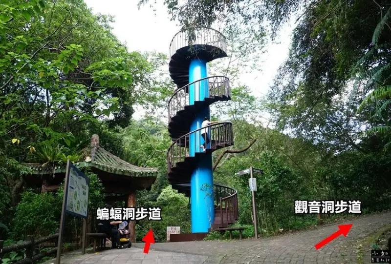 【復興步道】觀音洞步道南口,走到蝙蝠洞步道,瀑布,免門票景點