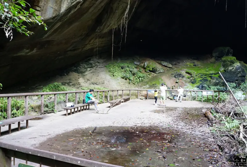【復興步道】觀音洞步道南口,走到蝙蝠洞步道,瀑布,免門票景點
