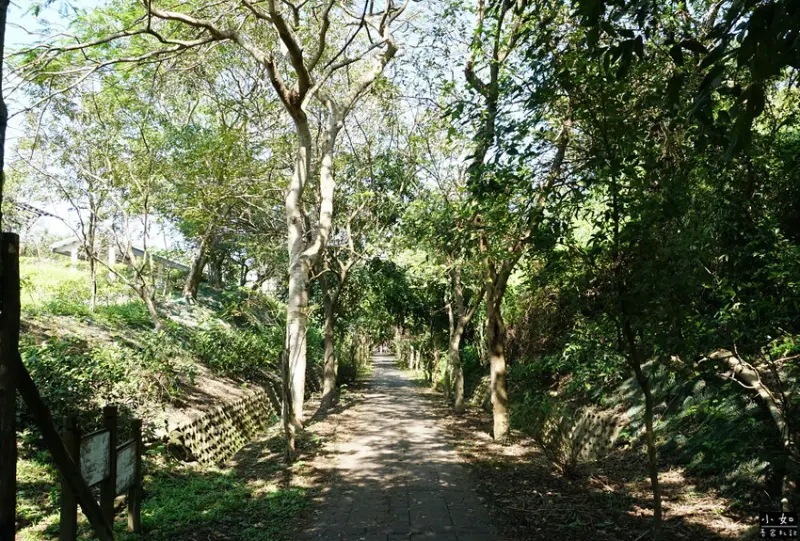 【苗栗景點】功維敘隧道,心想事成大車票,隧道燈光秀,懷舊火車