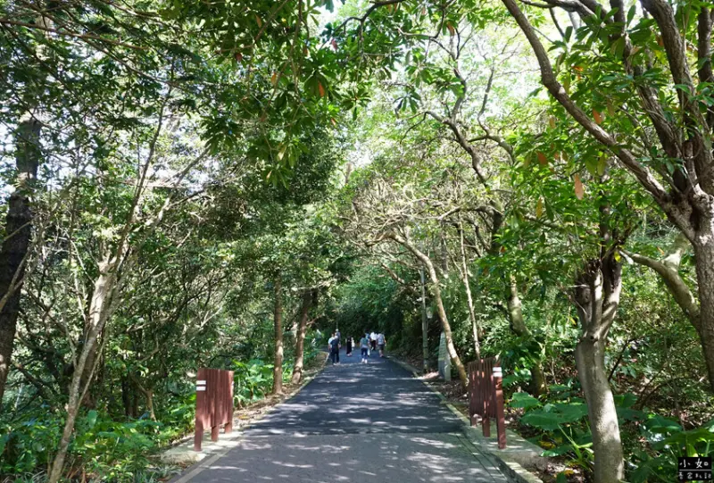【金山步道】燭臺雙嶼,獅頭山步道,公園,神秘海岸,一線天,o