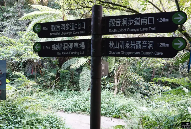 【復興步道】觀音洞步道南口,走到蝙蝠洞步道,瀑布,免門票景點