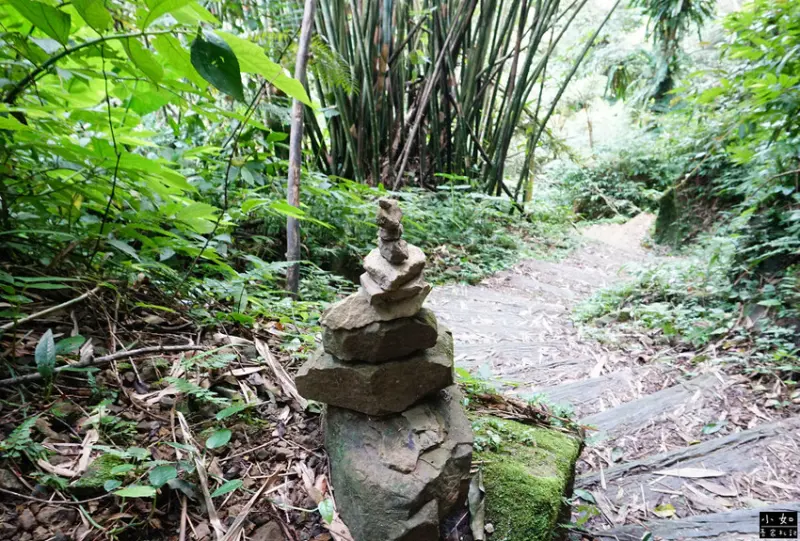 【復興步道】觀音洞步道南口,走到蝙蝠洞步道,瀑布,免門票景點