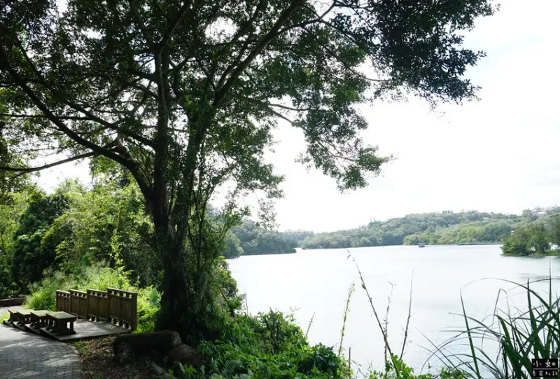【寶山步道】寶山水庫環湖步道,寶湖,碧湖吊橋,o型走一圈！