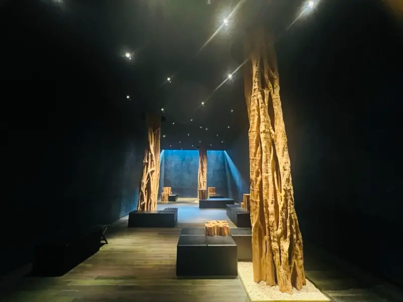 日本沖繩住宿篇：星野集團虹夕諾雅沖繩。無邊際泳池。柔道活動體