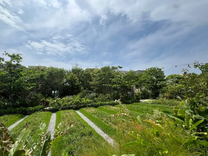 日本沖繩住宿篇：星野集團虹夕諾雅沖繩。無邊際泳池。柔道活動體