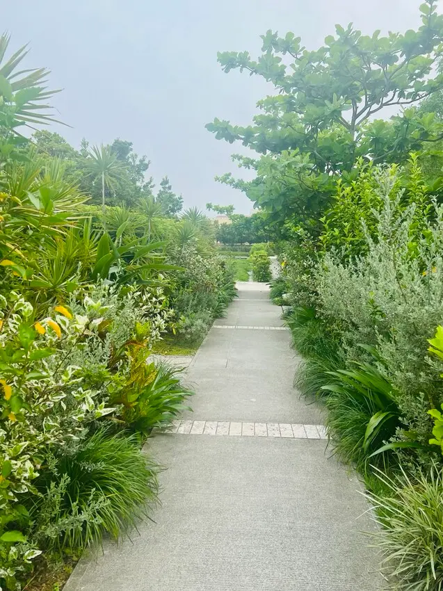 日本沖繩住宿篇：星野集團虹夕諾雅沖繩。無邊際泳池。柔道活動體