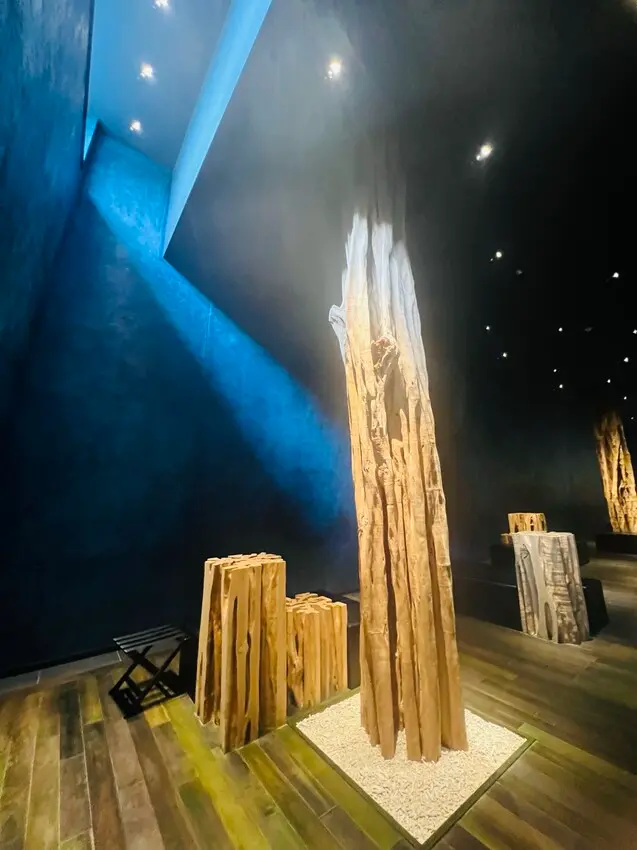 日本沖繩住宿篇：星野集團虹夕諾雅沖繩。無邊際泳池。柔道活動體