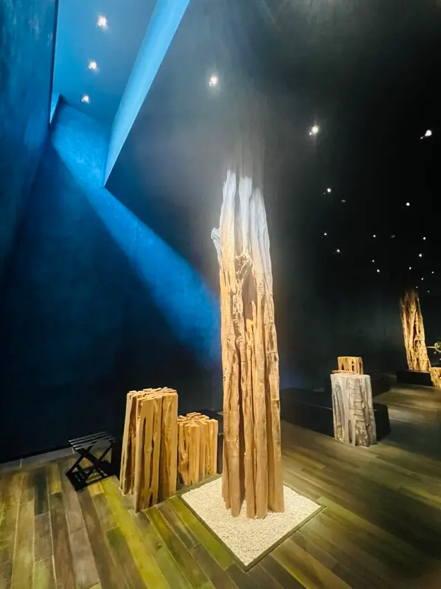 日本沖繩住宿篇：星野集團虹夕諾雅沖繩。無邊際泳池。柔道活動體