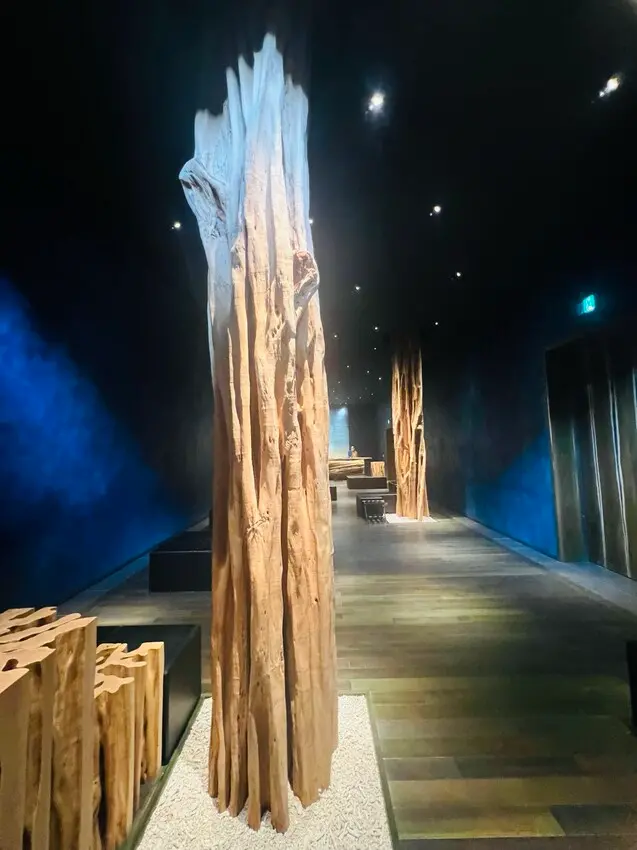 日本沖繩住宿篇：星野集團虹夕諾雅沖繩。無邊際泳池。柔道活動體