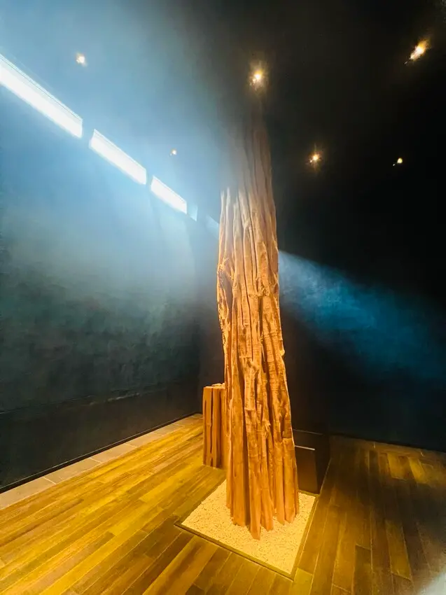 日本沖繩住宿篇：星野集團虹夕諾雅沖繩。無邊際泳池。柔道活動體