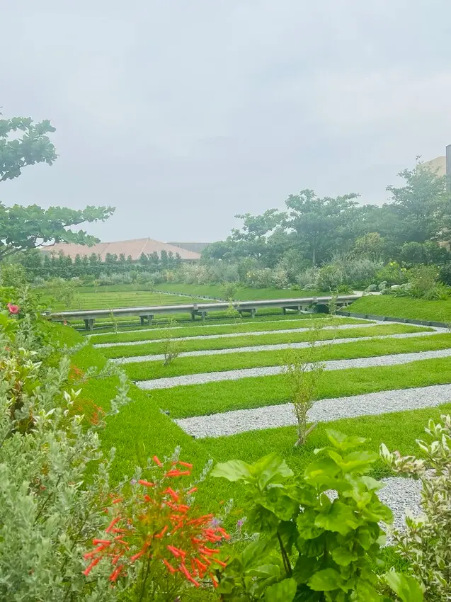 日本沖繩住宿篇：星野集團虹夕諾雅沖繩。無邊際泳池。柔道活動體