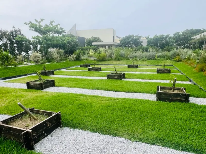 日本沖繩住宿篇：星野集團虹夕諾雅沖繩。無邊際泳池。柔道活動體