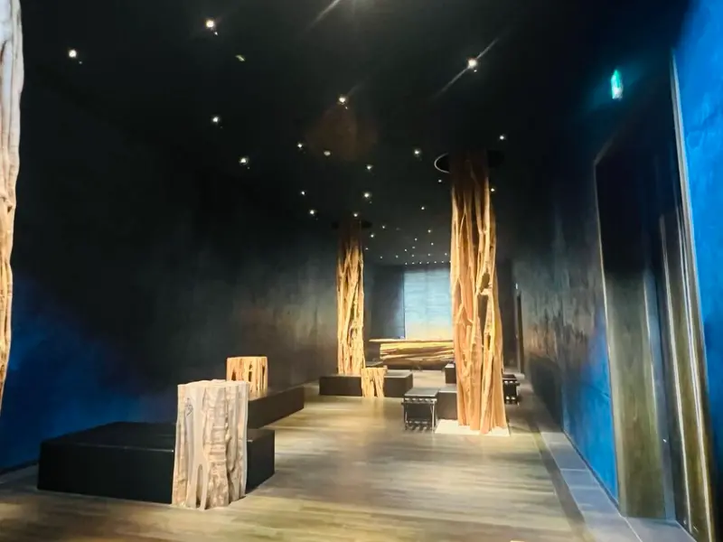 日本沖繩住宿篇：星野集團虹夕諾雅沖繩。無邊際泳池。柔道活動體