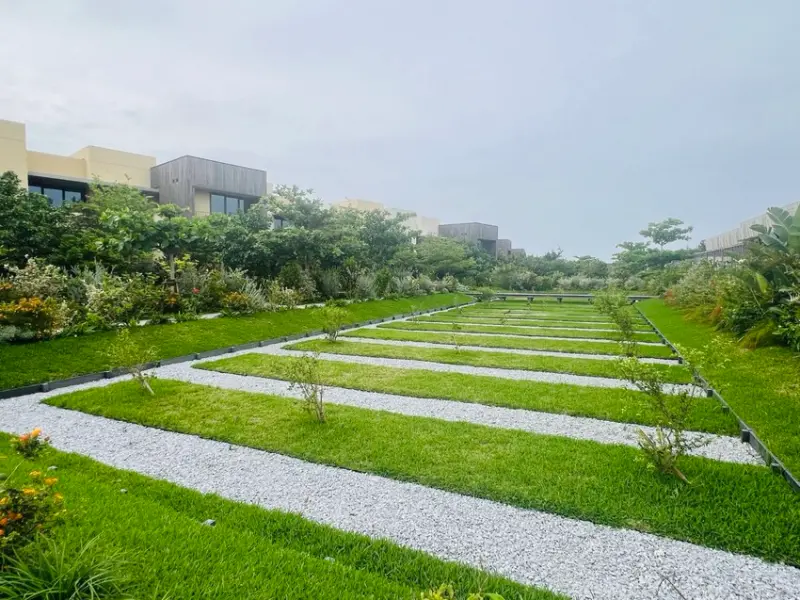日本沖繩住宿篇：星野集團虹夕諾雅沖繩。無邊際泳池。柔道活動體
