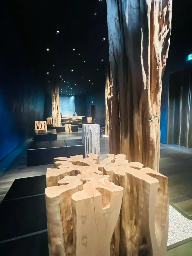 日本沖繩住宿篇：星野集團虹夕諾雅沖繩。無邊際泳池。柔道活動體