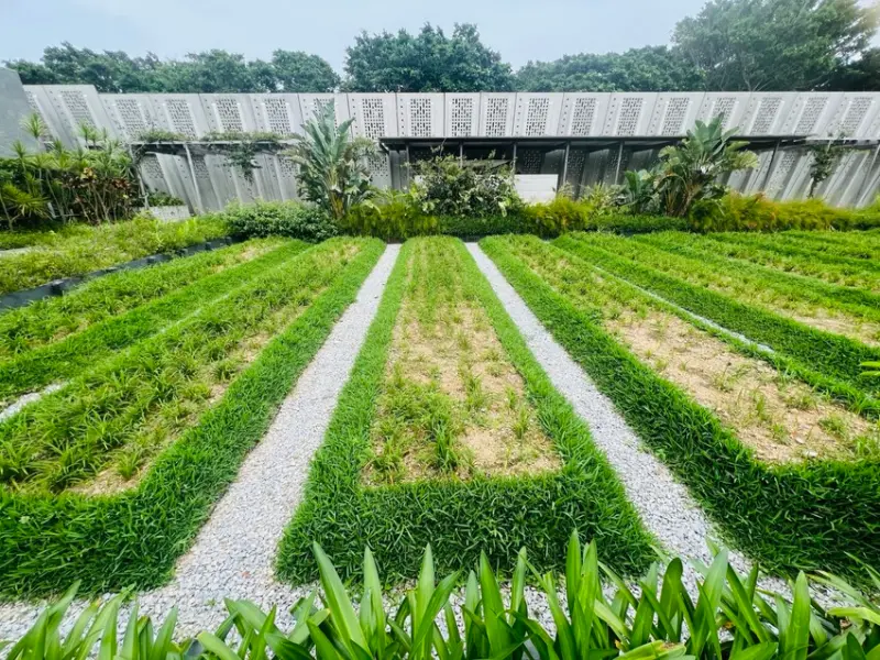 日本沖繩住宿篇：星野集團虹夕諾雅沖繩。無邊際泳池。柔道活動體