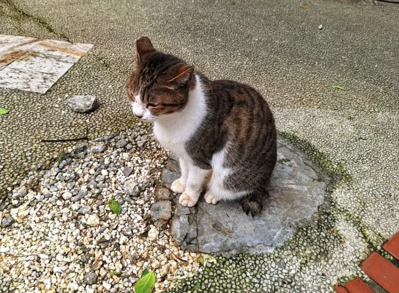 【活動】新北市立黃金博物館「金博20年 好友來祝福」闖關遊戲