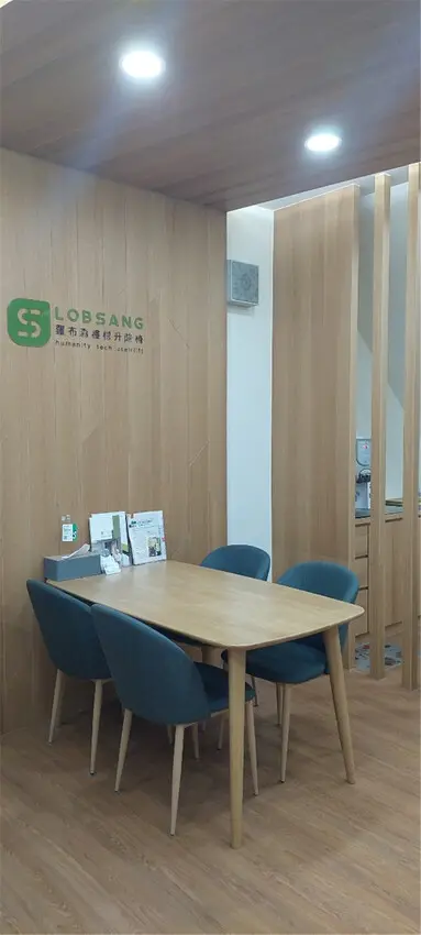 3C｜羅布森樓梯升降椅 MIT精品樓梯升降椅第一品牌上下樓好