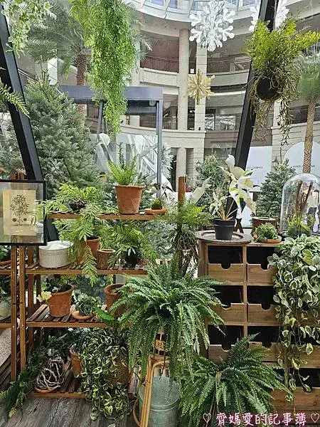 台北信義區．BELLAVITA寶麗廣場 / 新光三越聖誕樹