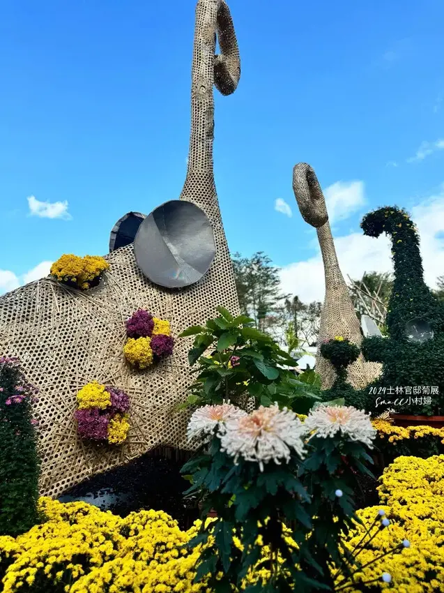 2024士林官邸菊展【菊伴動物派對】開趴囉，14大展區、15