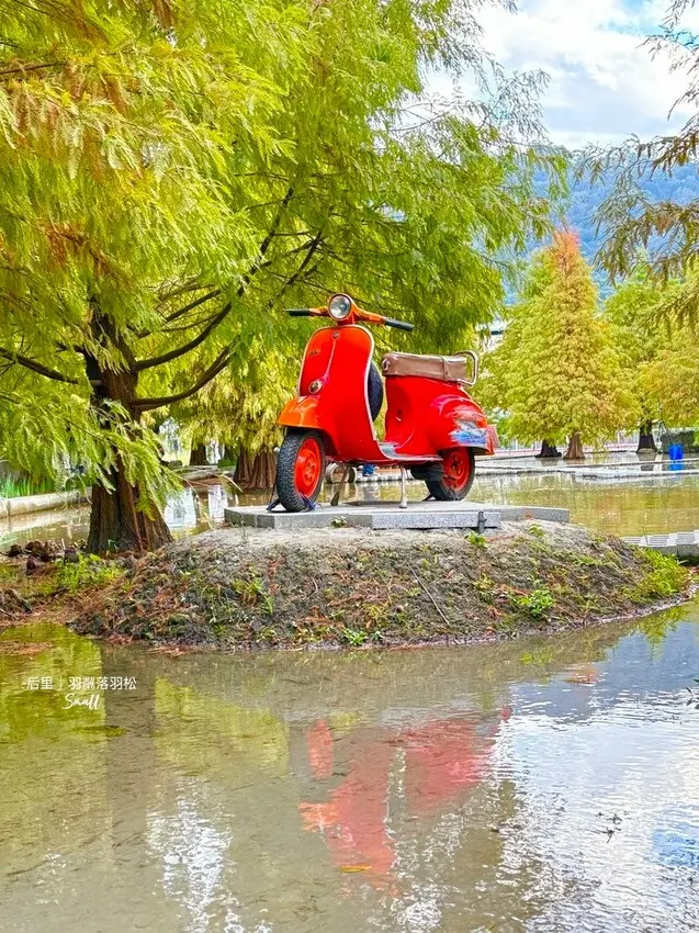 台中后里景點【羽粼落羽松】悠閒漫步唯美的忘憂森林，鐘塔、復古