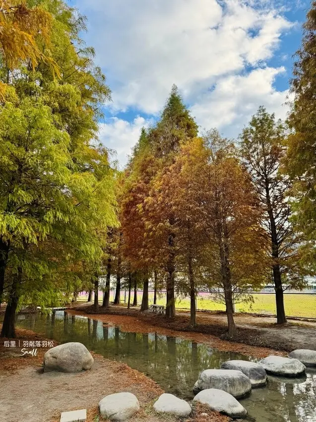 台中后里景點【羽粼落羽松】悠閒漫步唯美的忘憂森林，鐘塔、復古