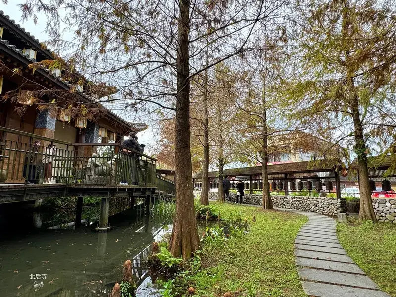 宜蘭落羽松秘境大集合，七個免門票景點通通告訴你，一起沉醉在橘