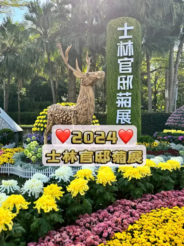 2024士林官邸菊展【菊伴動物派對】開趴囉，14大展區、15