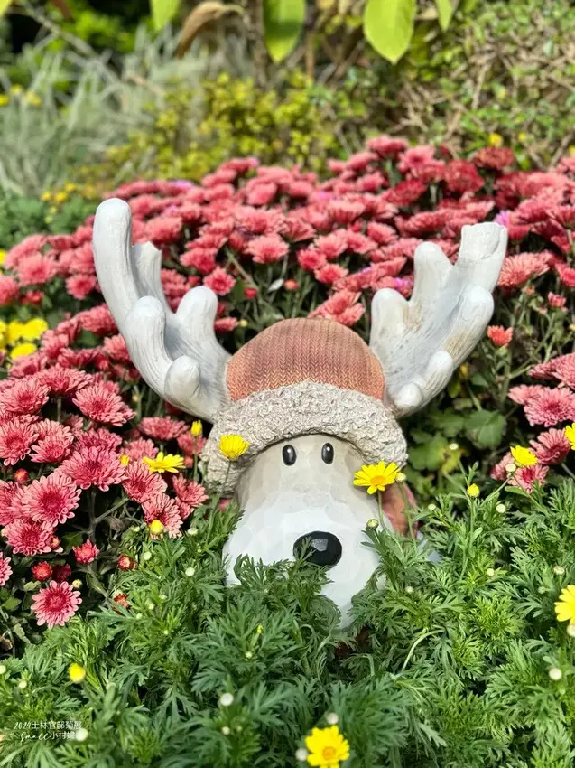 2024士林官邸菊展【菊伴動物派對】開趴囉，14大展區、15