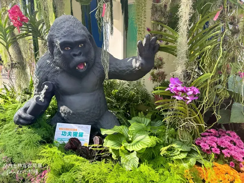 2024士林官邸菊展【菊伴動物派對】開趴囉，14大展區、15