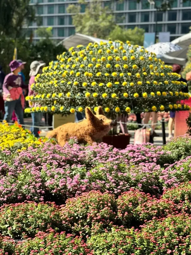 2024士林官邸菊展【菊伴動物派對】開趴囉，14大展區、15