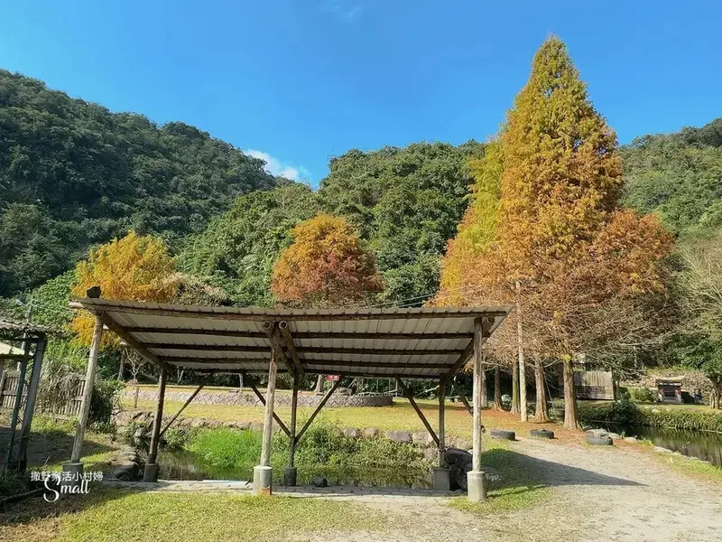 宜蘭落羽松秘境大集合，七個免門票景點通通告訴你，一起沉醉在橘