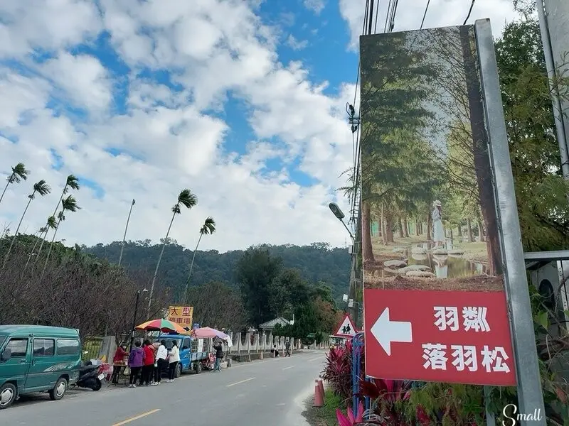 台中后里景點【羽粼落羽松】悠閒漫步唯美的忘憂森林，鐘塔、復古