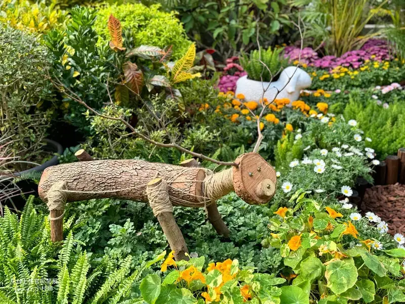 2024士林官邸菊展【菊伴動物派對】開趴囉，14大展區、15