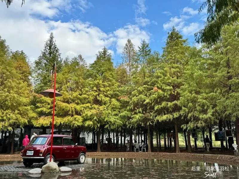 台中后里景點【羽粼落羽松】悠閒漫步唯美的忘憂森林，鐘塔、復古