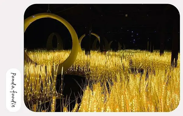 馬來西亞|探訪巴雅英達濕地公園、雞場街、馬六甲文化巡禮輕旅行