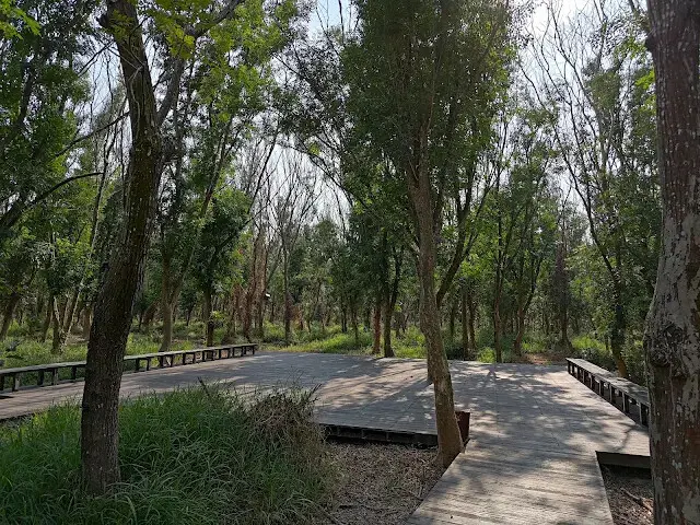 溪州公園森林區 - 芬多精步道 - 休憩平台