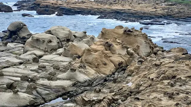 和平島地質公園 - 環山步道 - 海豹岩
