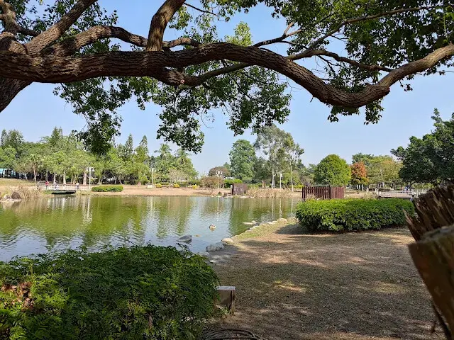 溪州公園 - 綠意湖