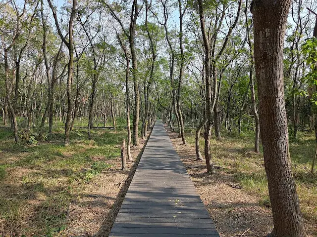 溪州公園森林區 - 芬多精步道