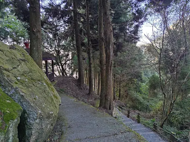 杉林溪森林生態渡假園區 - 青龍蕨類步道 - 擎天劈